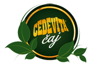 cedevita